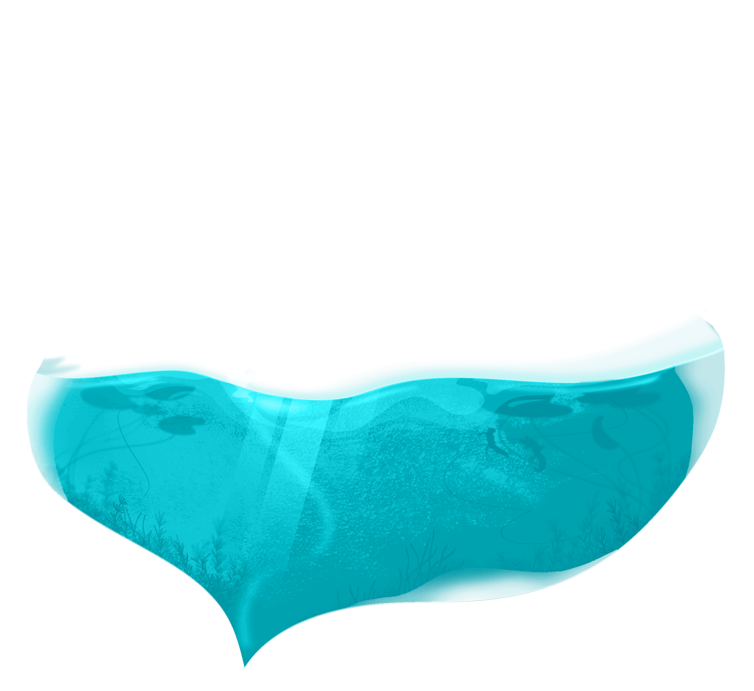 Illustration d'un étang par Mathieu Gillet